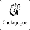 Logo cholagogue